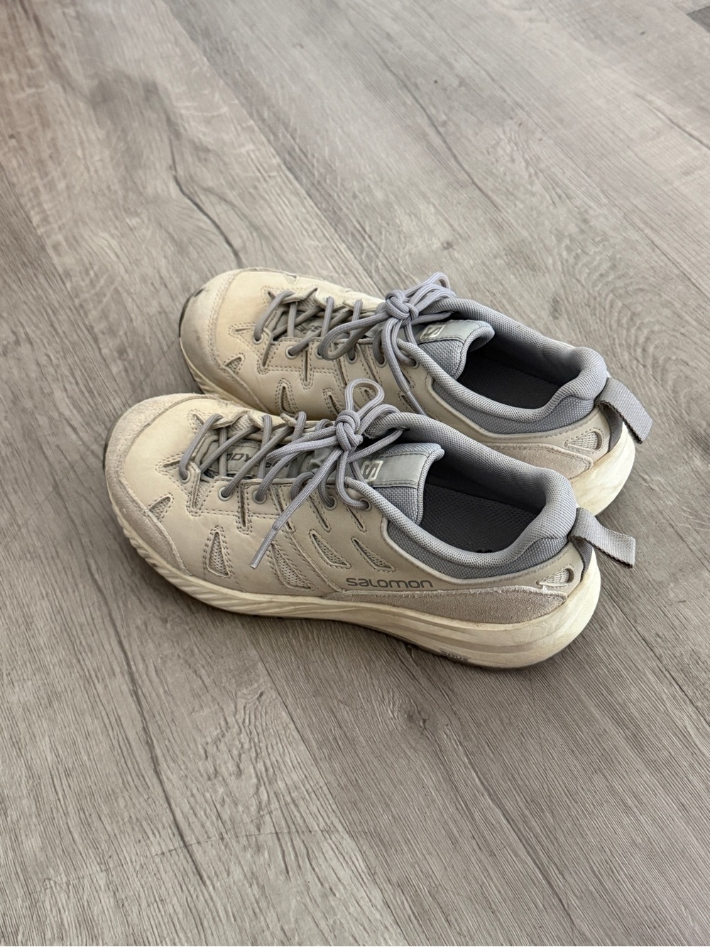 Salomon Odyssey Advanced 'Lunar Rock Vanilla Ice'